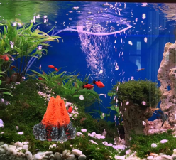 How to Rotate Fish Tank Decor Safely